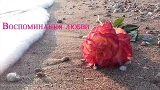 Воспоминания любви очень нежный и красивый клип