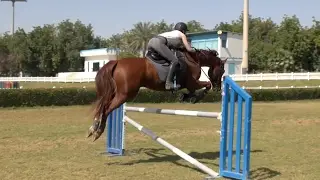 Call on the Cavalry