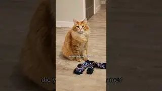 Always accept gifts from the wizard 😅 