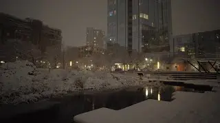 Portland Snowstorm Walk at Night, Pearl District