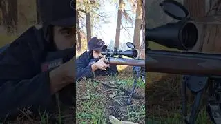 Savage 93 G .22 Magnum (PART 8) ELEMENT HELIX #plinking #22lr #22wmr
