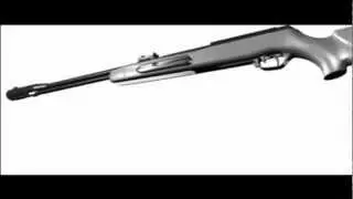 Carabina Gamo CFX (CFX Gamo Airgun)