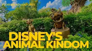 Safari Adventures at Disneys Animal Kingdom