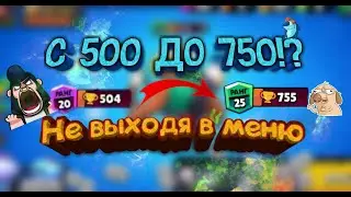 БО БЕЗОСТАНОВОЧНО ОТ 500 ДО 750 ТРОФЕЕВ ! BRAWL STARS