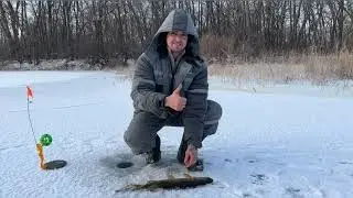 Рыбалка на жерлицы в январские морозы.