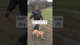 PHP or JS? #coding #javascript #python #php #software #windows #meme #programming #developer #macos