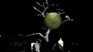 Paul McCartney - Blackbird