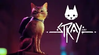 STRAY - (Финал)за Барсика и двор стреляем в упор | полное прохождение | СТРИМ