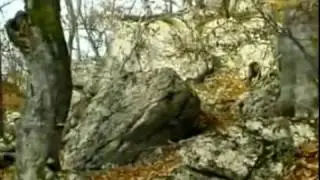 Ни пуха ни пера (Эпизод 27)