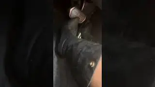 Pedal pumping #pedalpumping  #cargirl