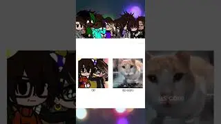 we share the same brain cell @FlurryPie0 #cringe #gacha