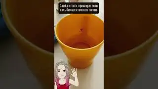 паучок