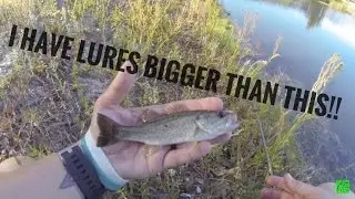 Pond #2 | wind almost ruined the challenge | 365 Bass challenge