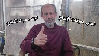 أكثر مدة زمنية يموت فيها الكناري في السنة 🌹الأسباب والوقاية ❤