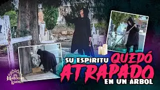 Su espíritu quedó atrapado en un árbol