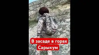 Сарыкум, в засаде в экипировки Кинг хантер  