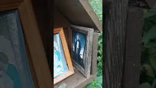 Находка в лесу..
