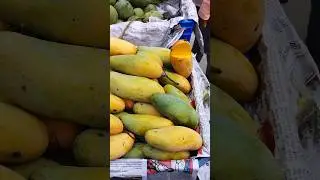 Banana Mango, A Special Variant #mango #mangoseason #fruitlover #fuit #bd #viral #reels