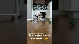 Новые сапоги 🤣 