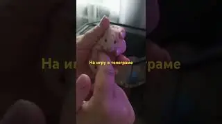 26 мая 2024 г.