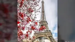 اه ...يا فرنسا ♫ اغنية لكل بعيد على ارض الوطن ♪