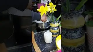 MLEČNI ROLAT SA MANDARINAMA 🤩🤩🤩🤩🤩