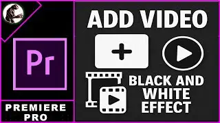 How To Add Video BLACK And WHITE Effect In Premiere Pro