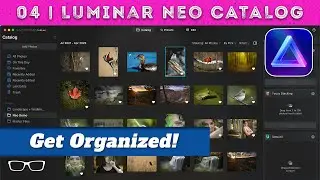 How to Organize Photos in Luminar Neo (The Fast Way)
