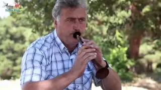 ARDANUÇ YÖRESİ DELİ HORON - Naim Usta