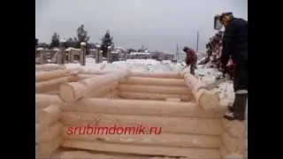Изготовление дома из бревна.Рубка сруба.