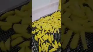 Beko Ankastre Fırın Fitfry Özelliği