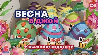 Весенние Киндер джой и важные новости!