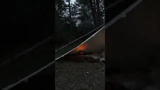 Moody bushcraft vibes 🔥🔥🔥
