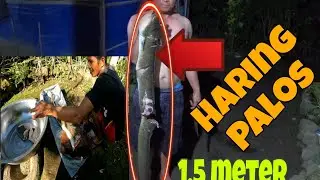 BURIRAWAN || PALOS NGA BA?