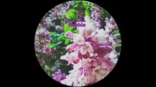 Konerytmi -- Valtatie