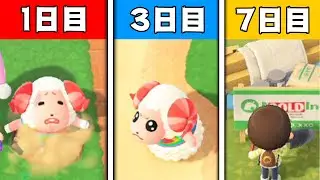 【あつ森】住民に1週間ドッキリし続けた結果がとんでもないことになったｗｗｗｗｗ【あつまれどうぶつの森】