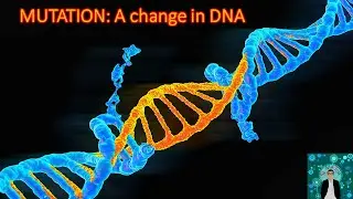 MUTATION | Point Mutation | Frameshift Mutation | Chromosomal Mutation