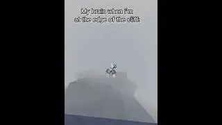 My brain when i’m at the edge of the cliff: