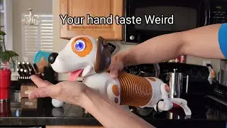 The Robotic Dog 🐕 Play Fetch and follow you around!!!