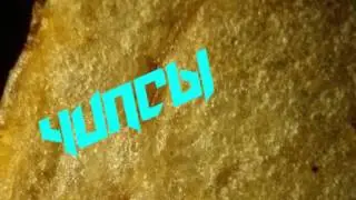 Чипсы  Под микроскопом
