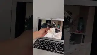 Как вам такое? 😂 