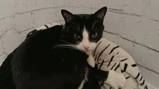 тест 1