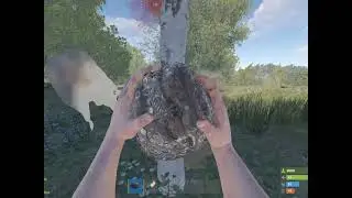 New friends, A New Forced Wipe