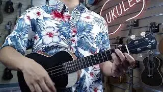 aNueNue UC10 Black Beauty Concert Ukulele Sound Demo - ANN-UC10-BB