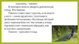 Текст описание