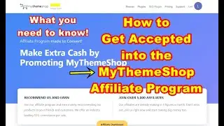 How to Get Accepted into the MyThemeShop Affiliate Program
