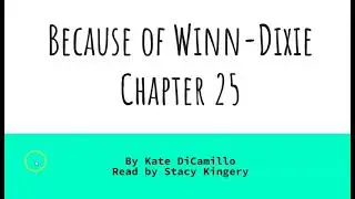 Because of Winn Dixie, Chapter 25