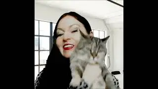 Все хотят видеть Кота! 