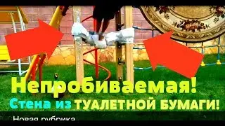 Непробиваемая стена из туалетной бумаги