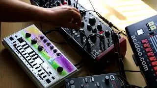 Erica Synths Black Hole DSP - RE-303